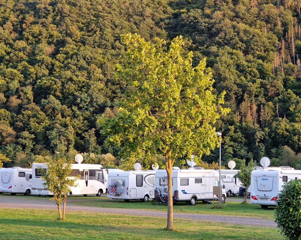 Wohnmobilstellplatz Moselbeach Mehring