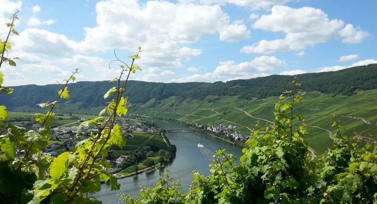 Wohnmobilstellplatz Piesporter Goldtröpfchen