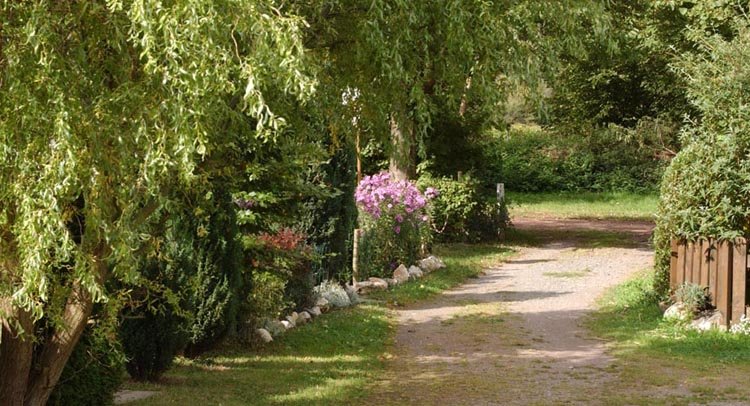 Camping Georgshof 3 Camping Georgshof