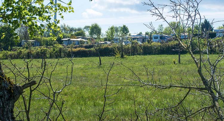 Campingplatz Moselhöhe, Heidenburg