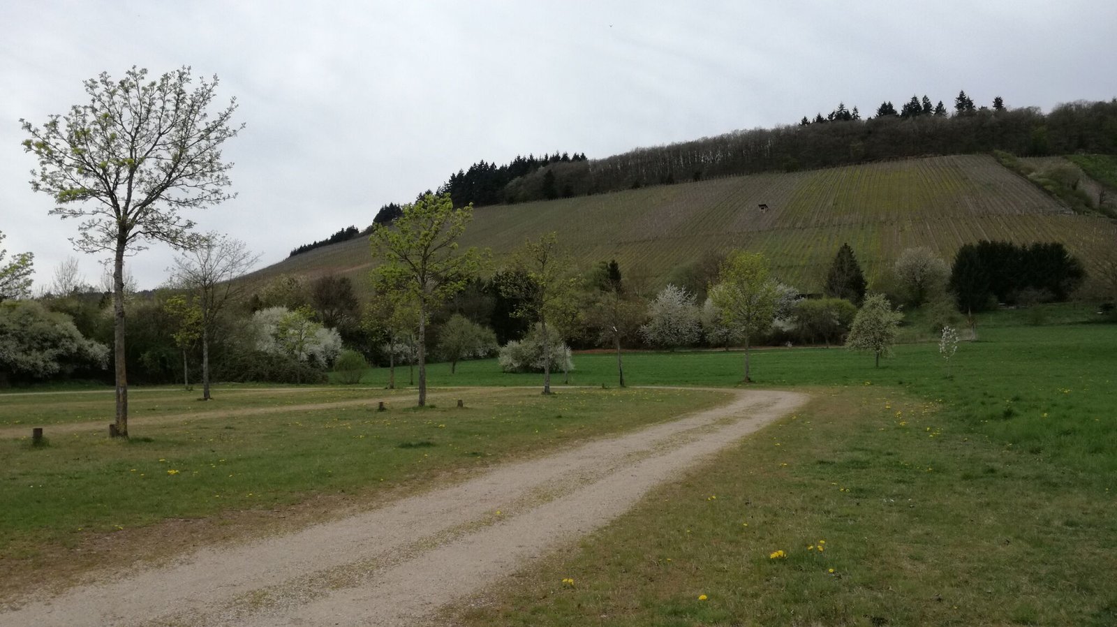 Stellplatz Zweibächen Wittlich 5 Stellplatz Zweibächen Wittlich