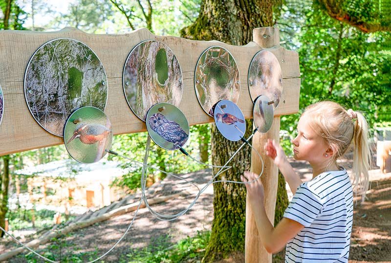 Der Abenteuerwald Saarschleife