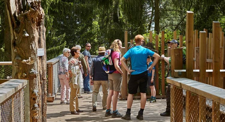 Baumwipfelpfad Saarschleife 2 Baumwipfelpfad Saarschleife