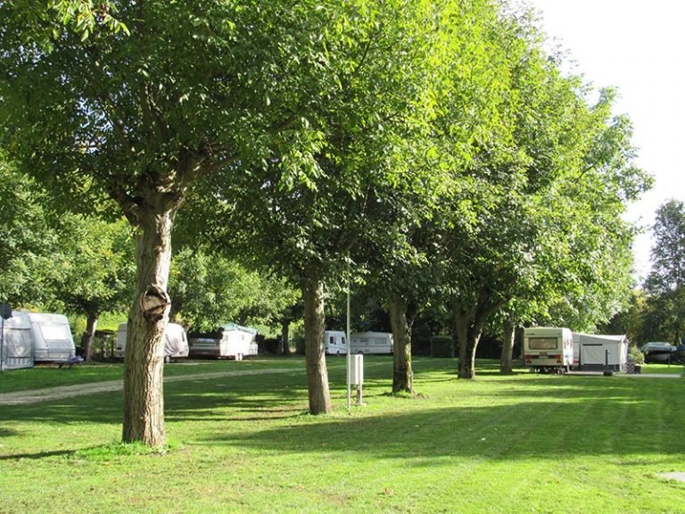 80 TOP Campingplätze und Stellplätze an der Mosel