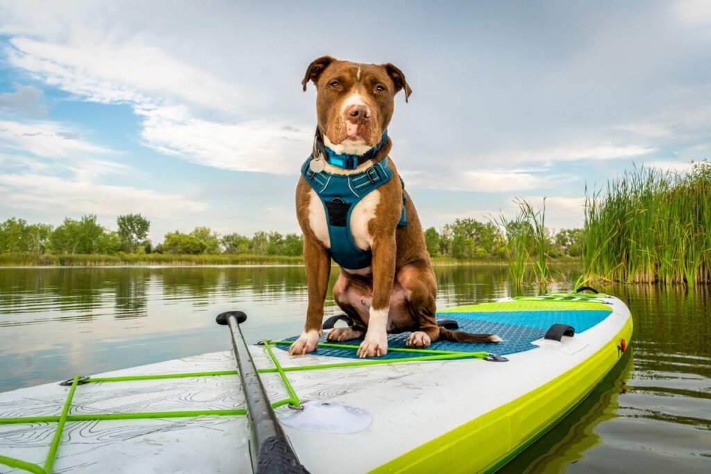 12 Tipps für den Kauf aufblasbarer Stand up Paddle Boards – I SUP Boards 1 12 Tipps für den Kauf aufblasbarer Stand up Paddle Boards – I SUP Boards