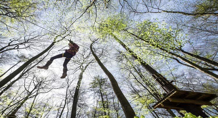 Wald-Abenteuer Leiwen 4 Wald-Abenteuer Leiwen